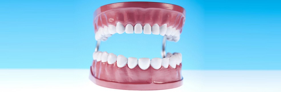 Cleaning 
      Partial Dentures Mercer ND 58559